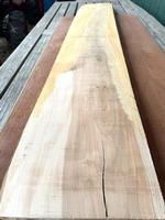 Hard Maple  - 6/4 (SIX boards!) -- 49 BF, 8-11"W x 68-85"L